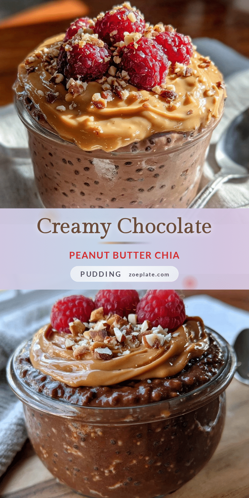 chocolate peanut butter chia pudding recipe