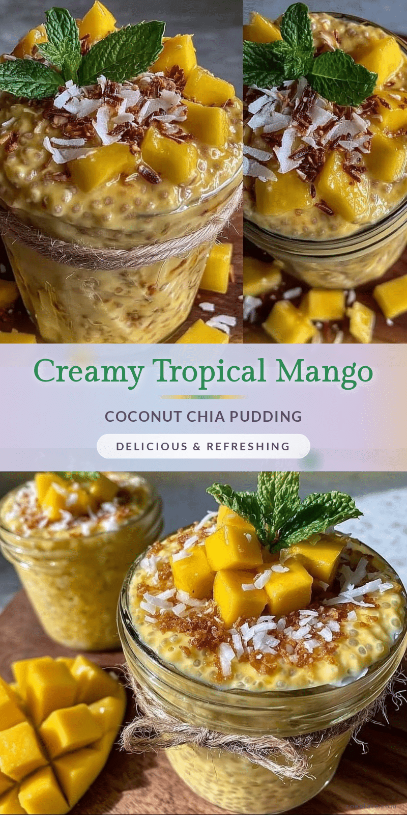 fresh mango coconut chia pudding recipe