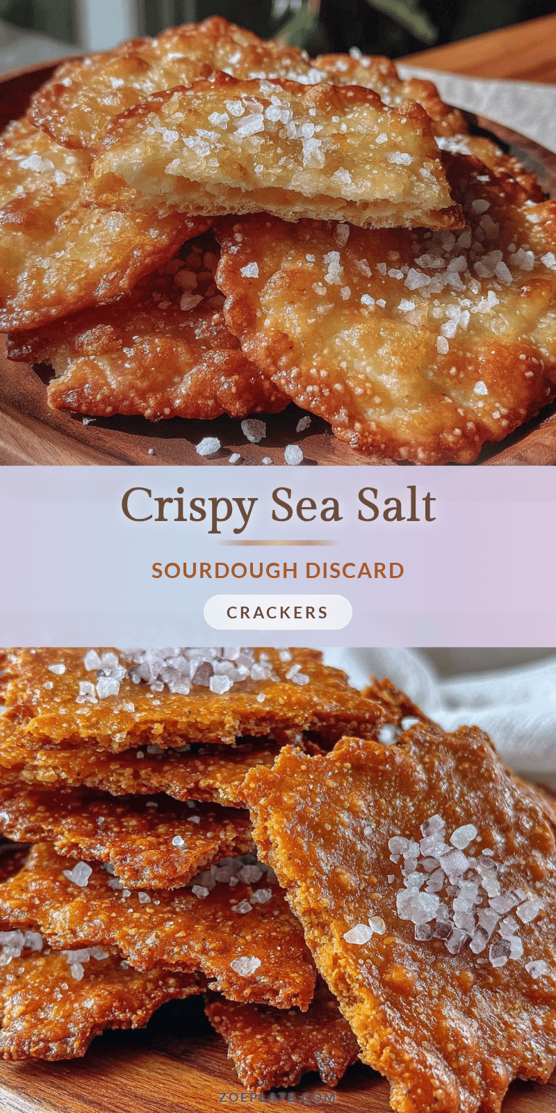 sourdough discard crackers recipe