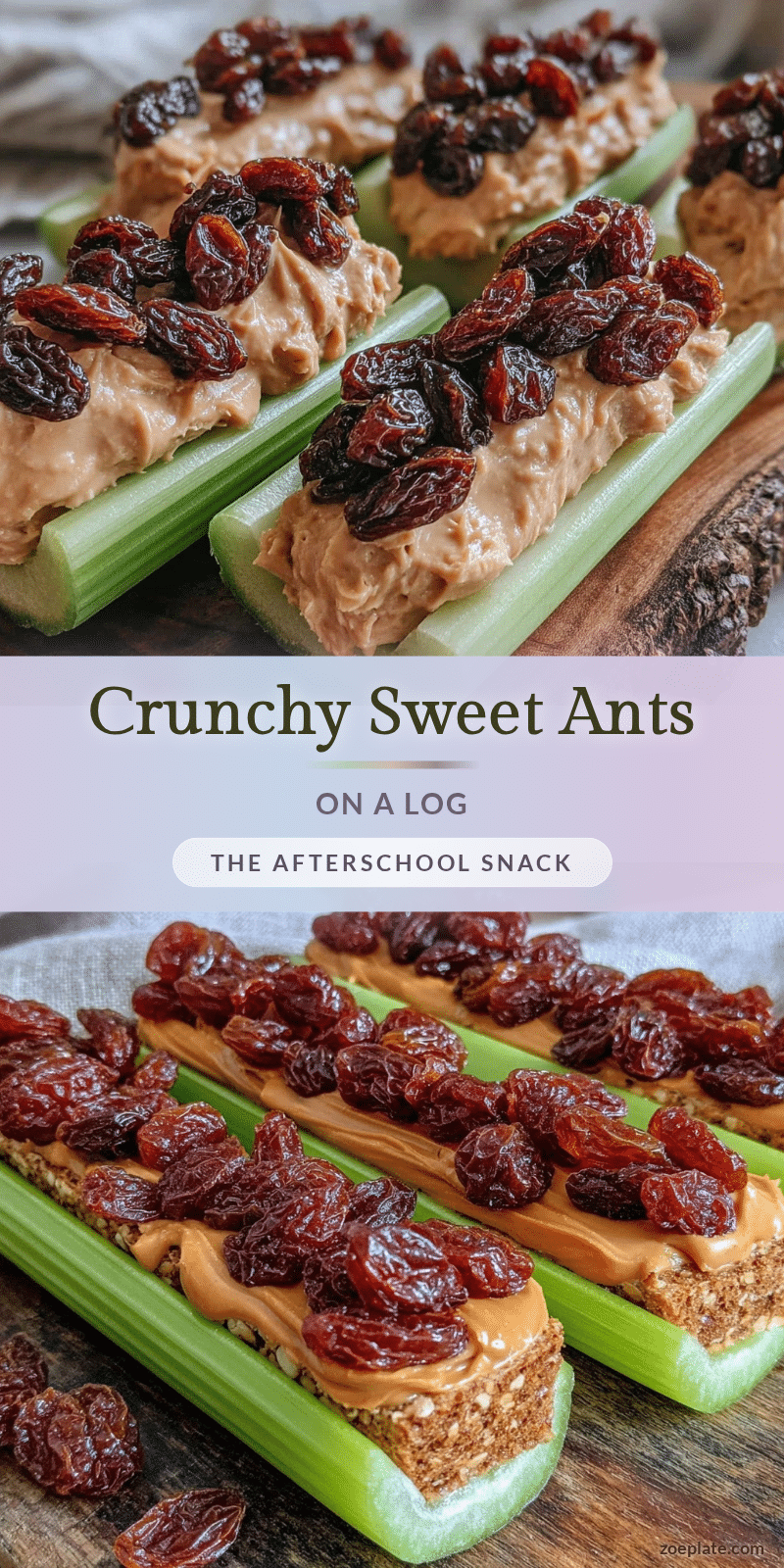 ants on a log recipe recipe