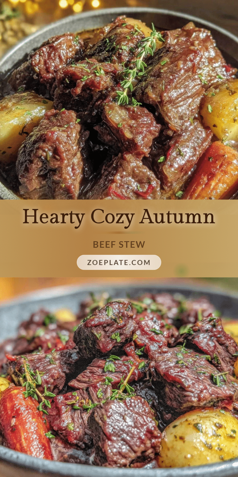 autumn beef stew recipe