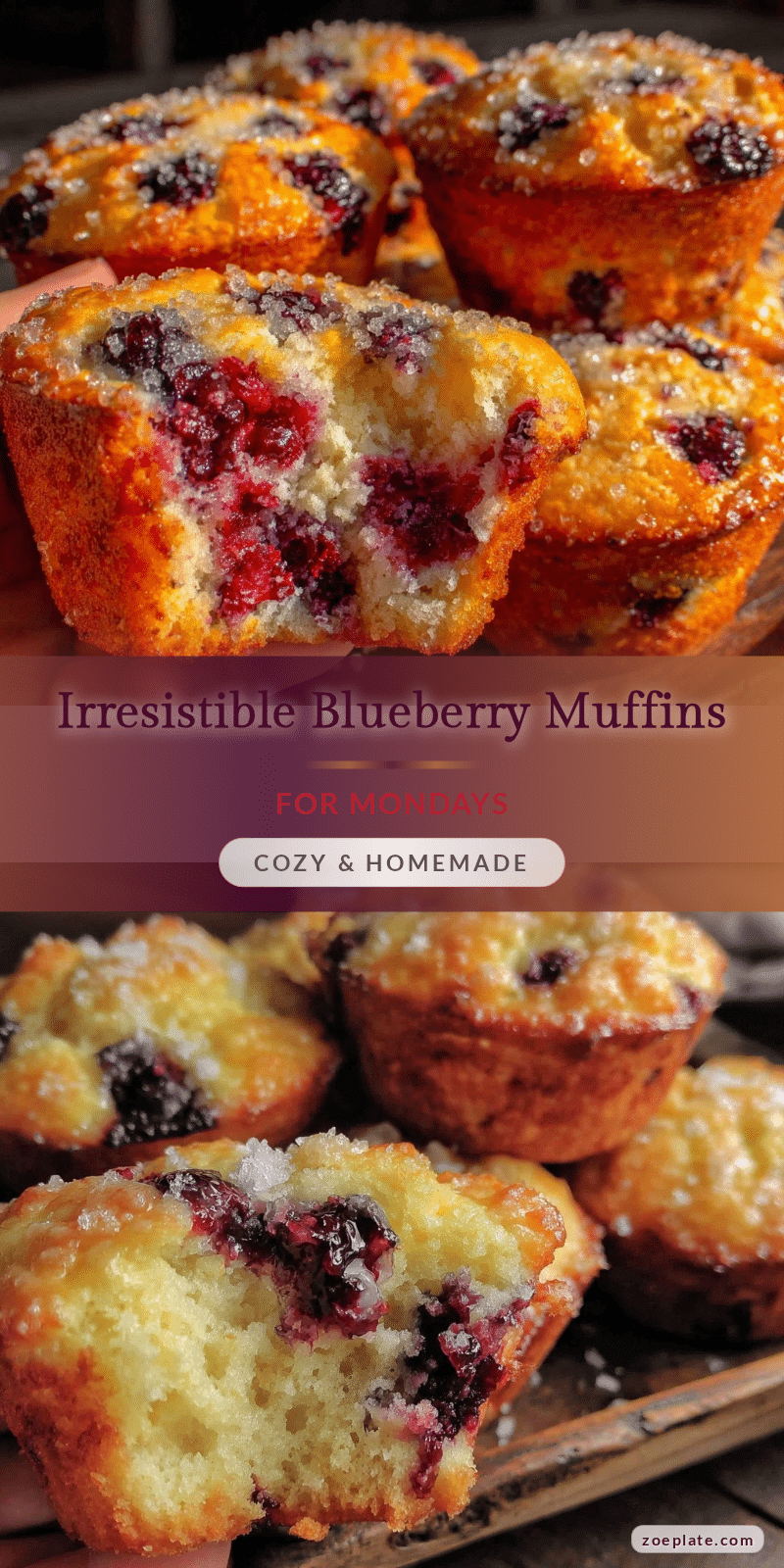 blueberry muffins recipe recipe