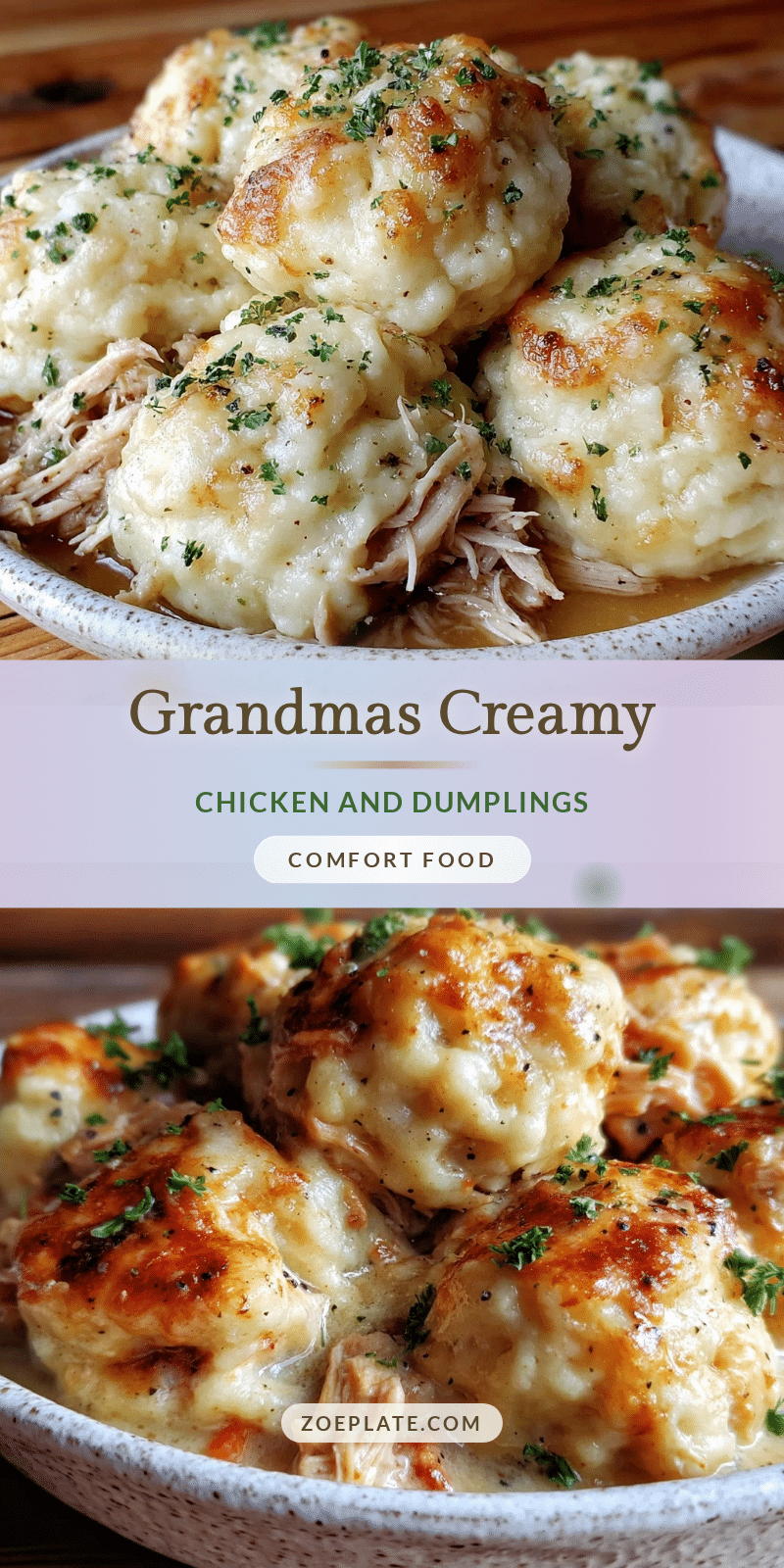 chicken and dumplings recipe recipe