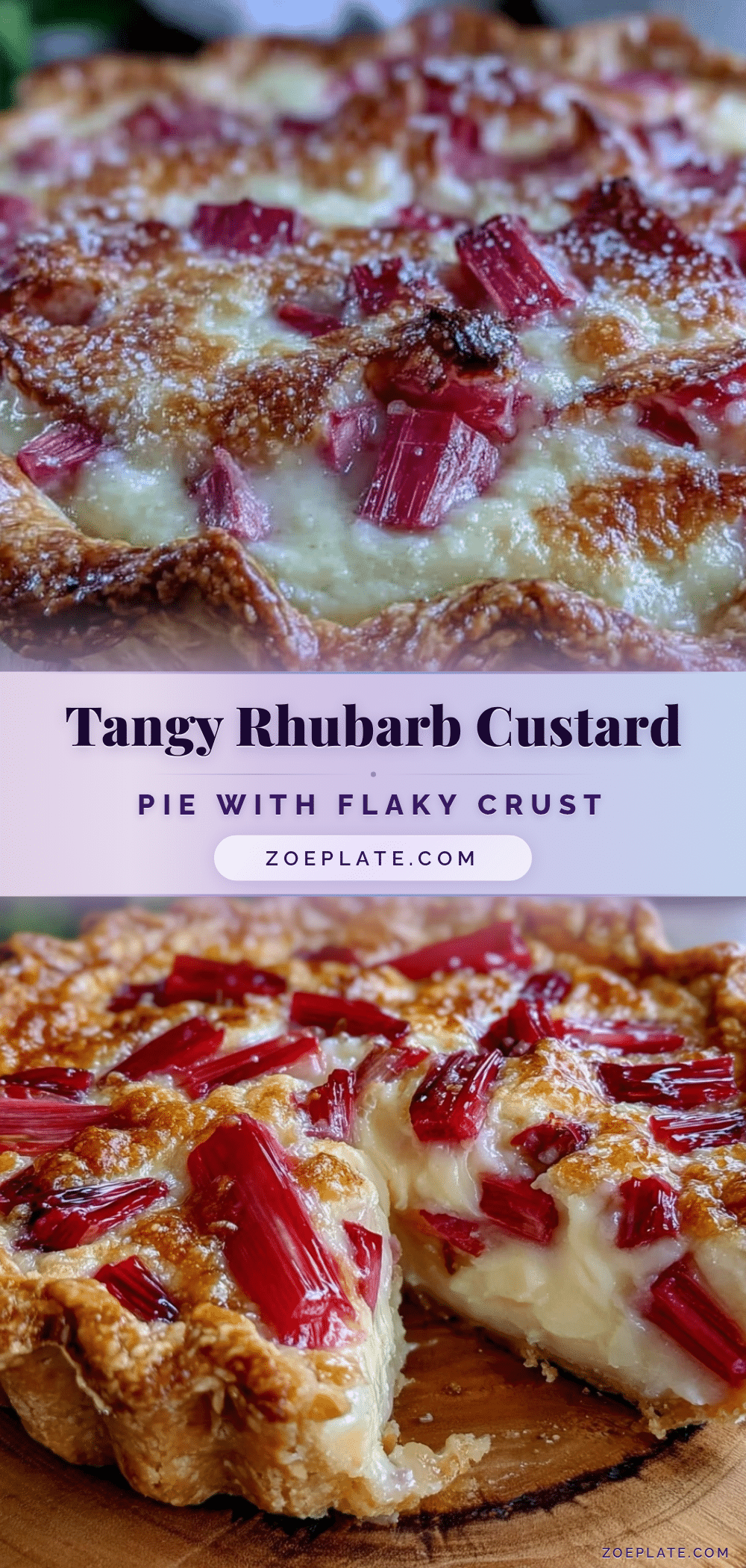 classic rhubarb custard pie recipe