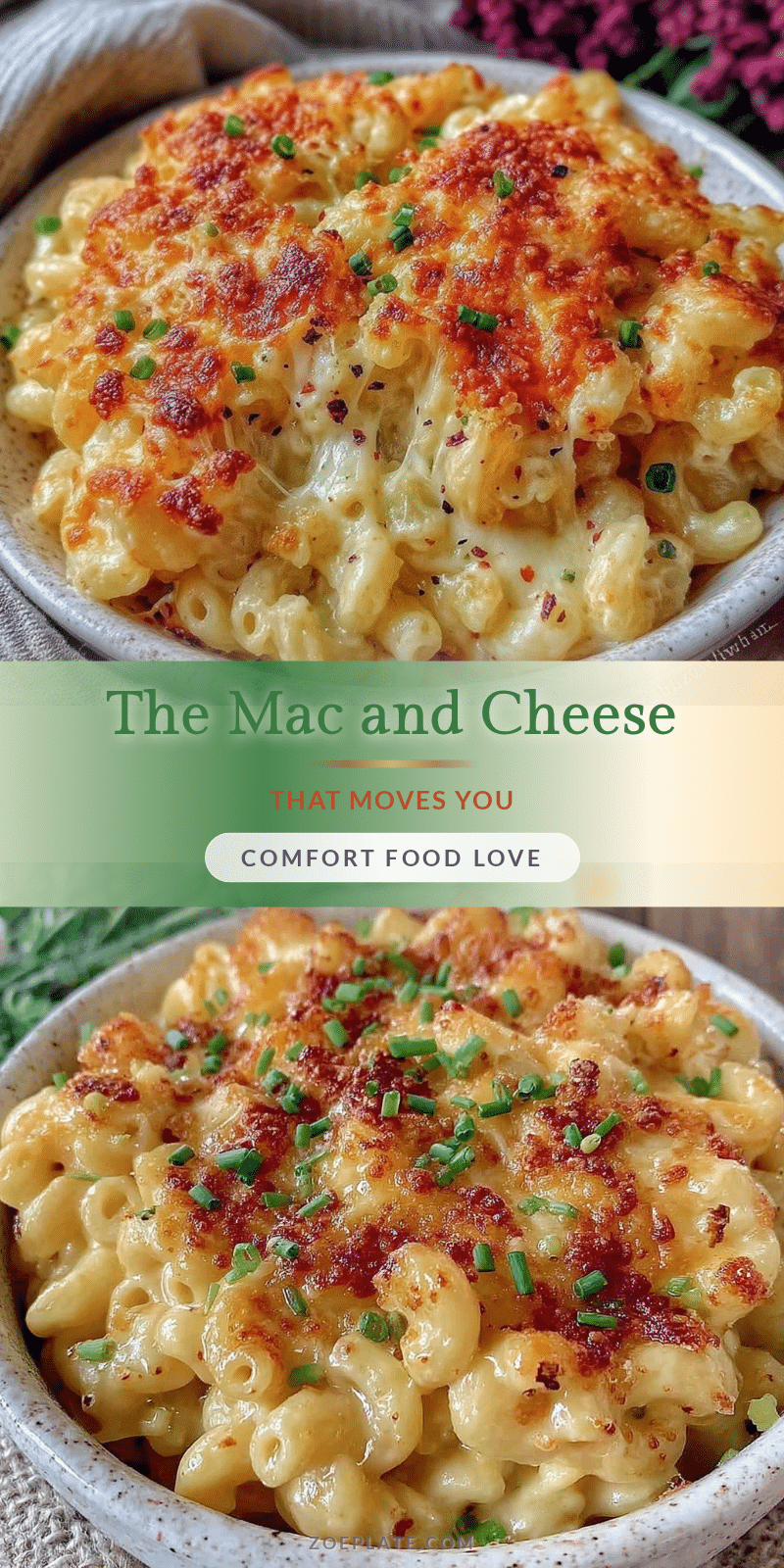comforting mac and cheese recipe recipe