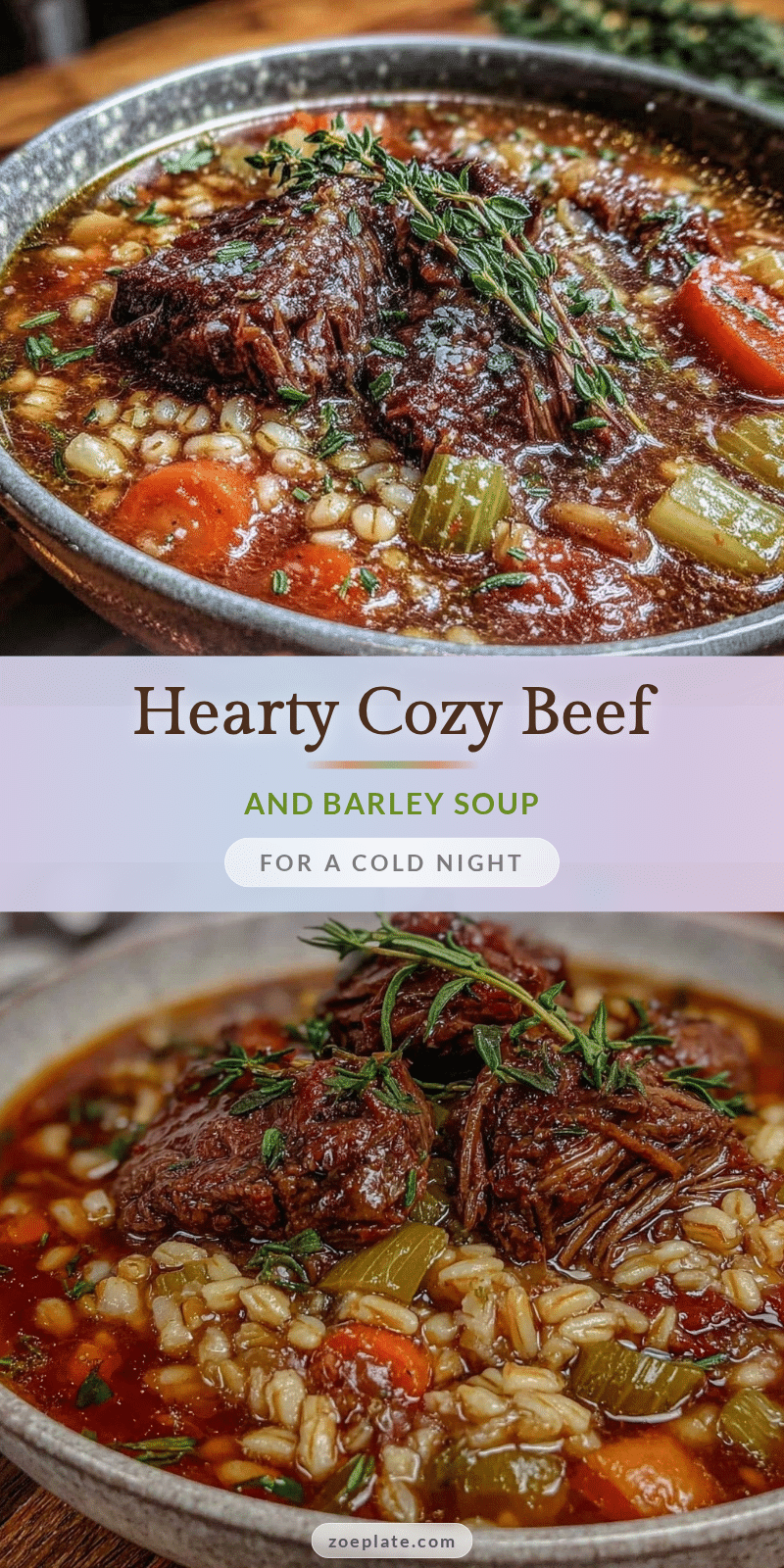 cozy beef and barley soup recipe