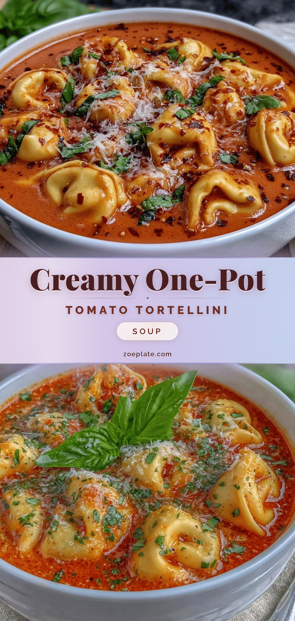 creamy one-pot tomato tortellini soup recipe