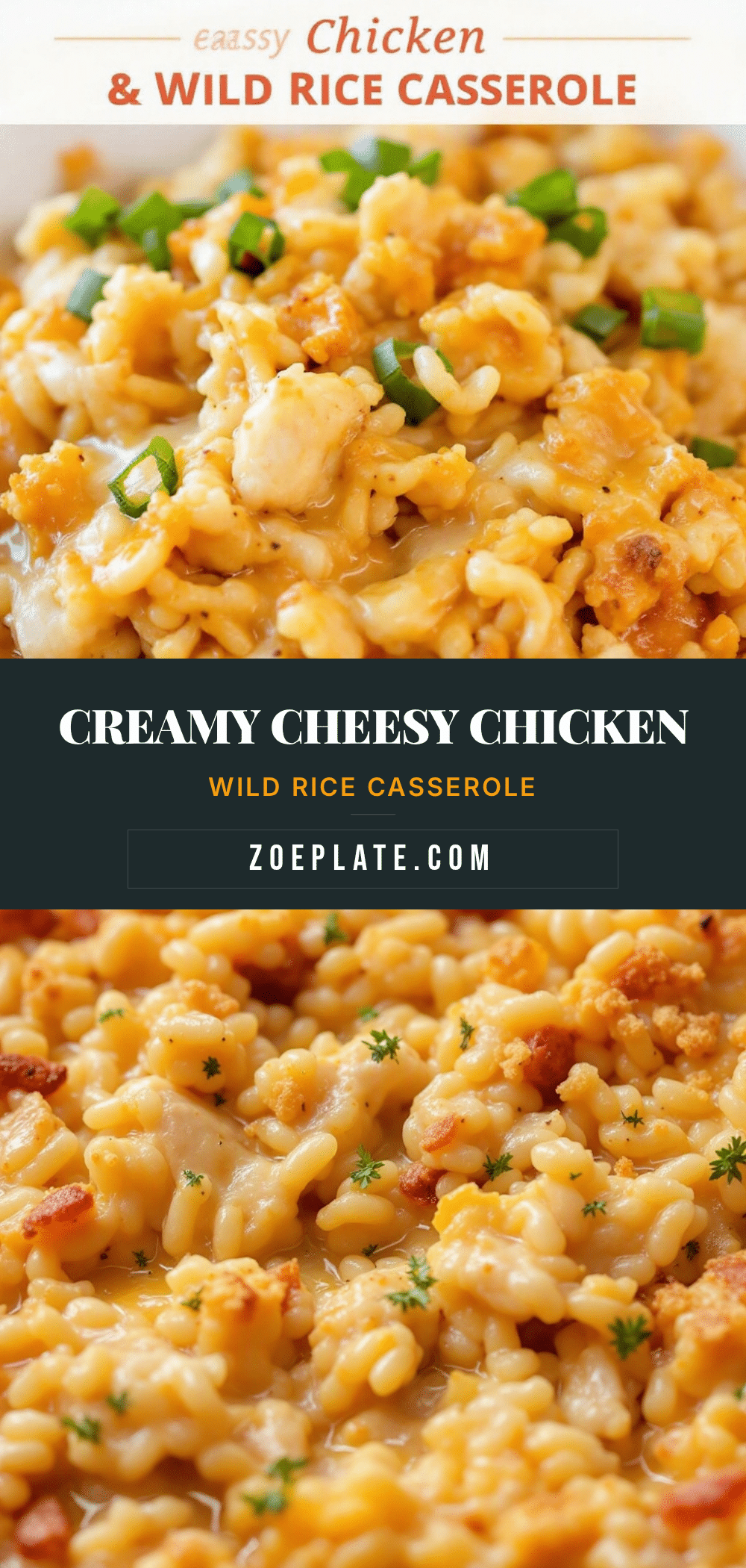 creamy cheesy chicken and wild rice casserole recipe