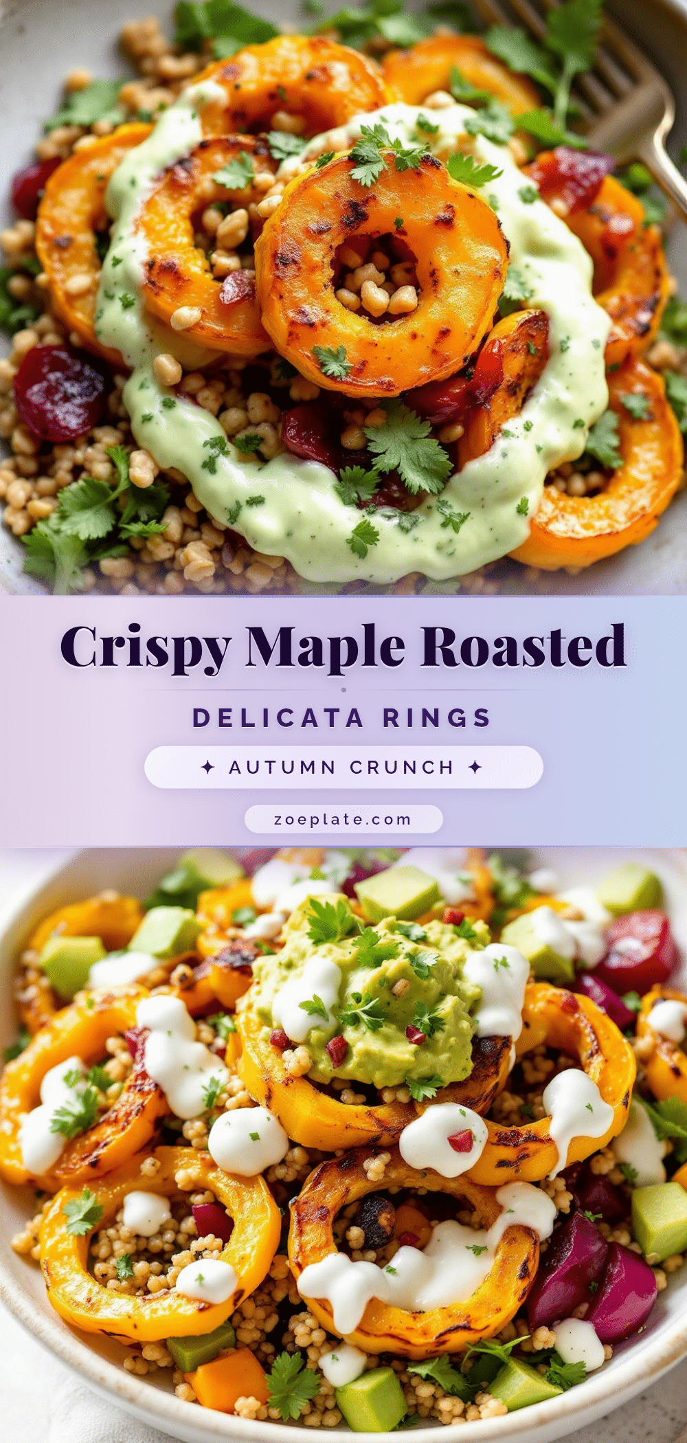 crispy maple roasted delicata squash rings recipe