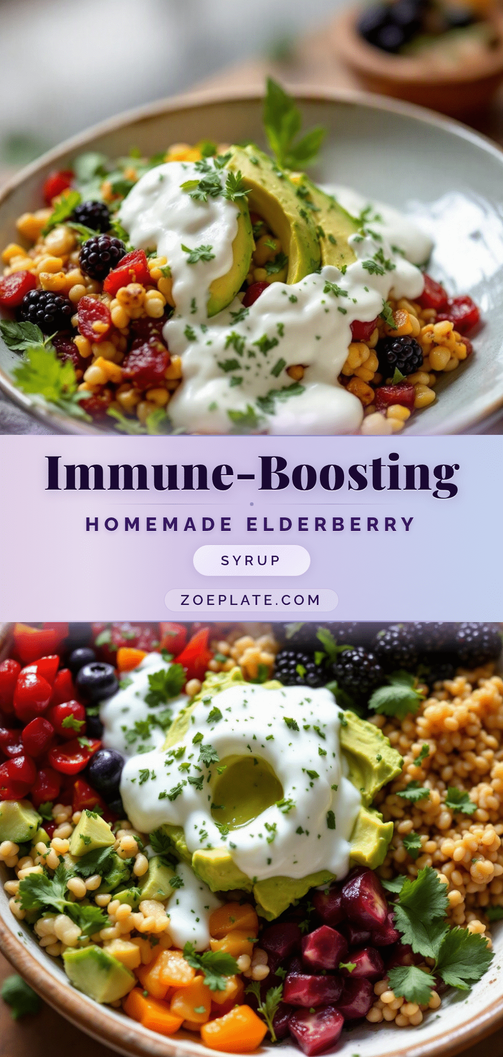 homemade elderberry syrup recipe