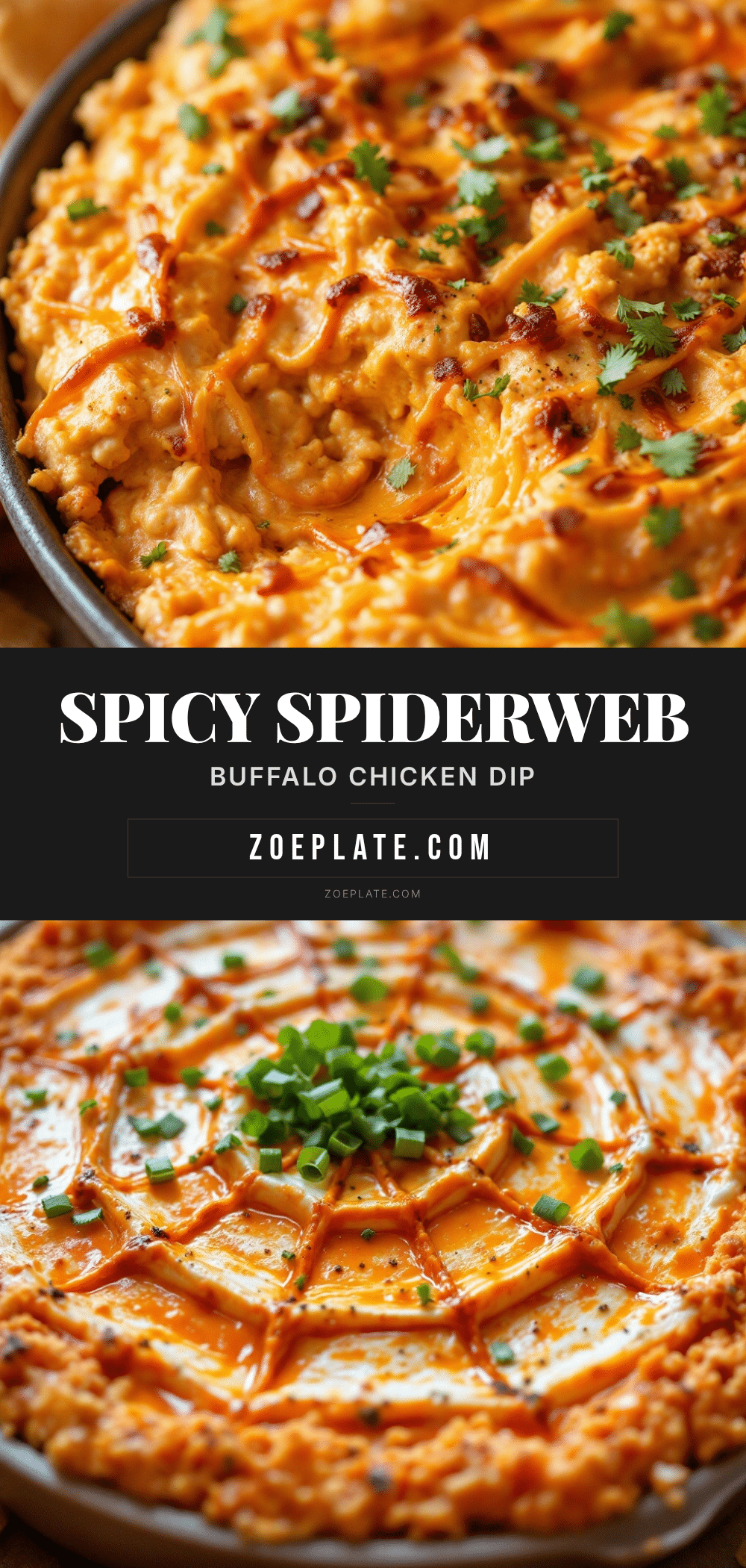 spiderweb buffalo chicken dip recipe