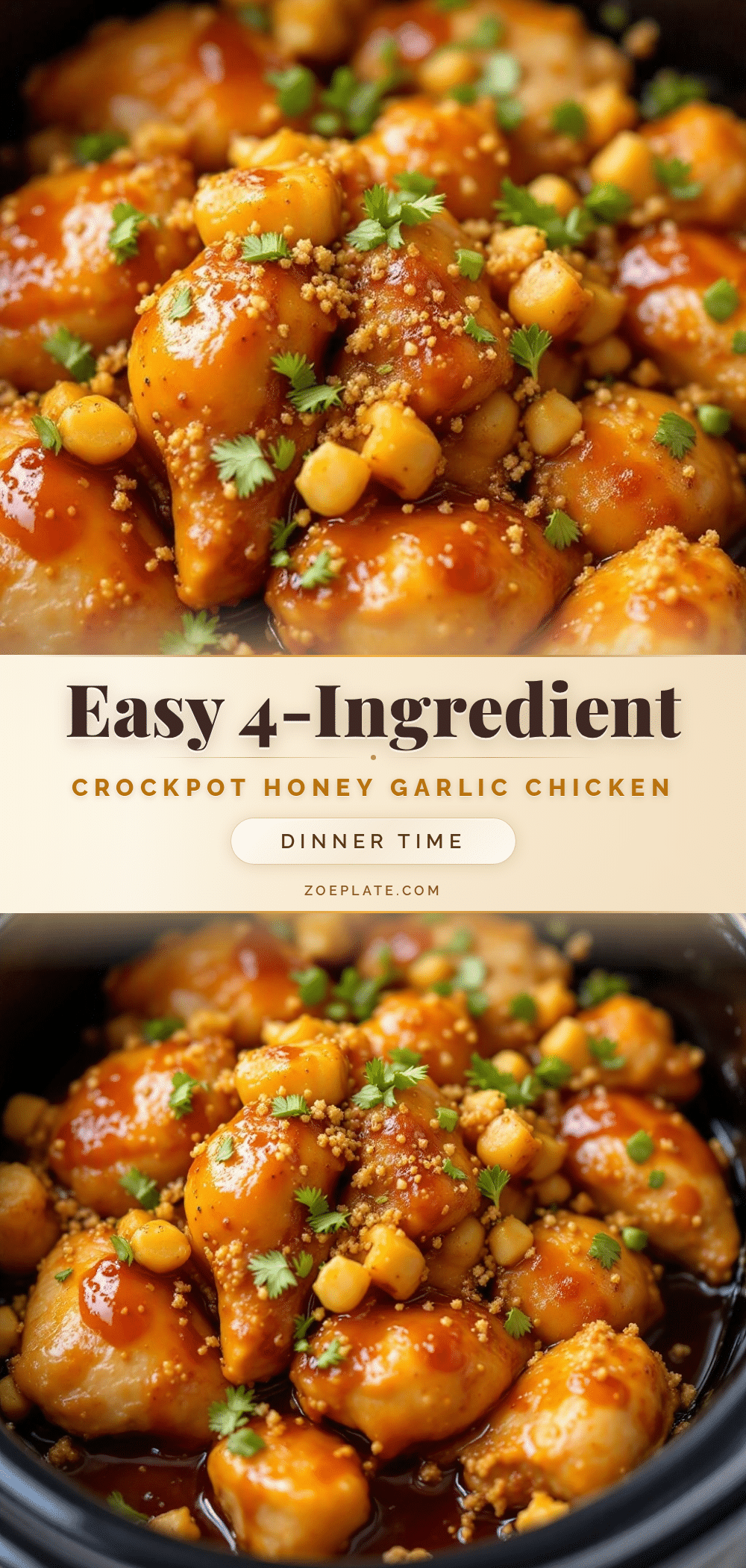 easy crockpot honey garlic chicken recipe