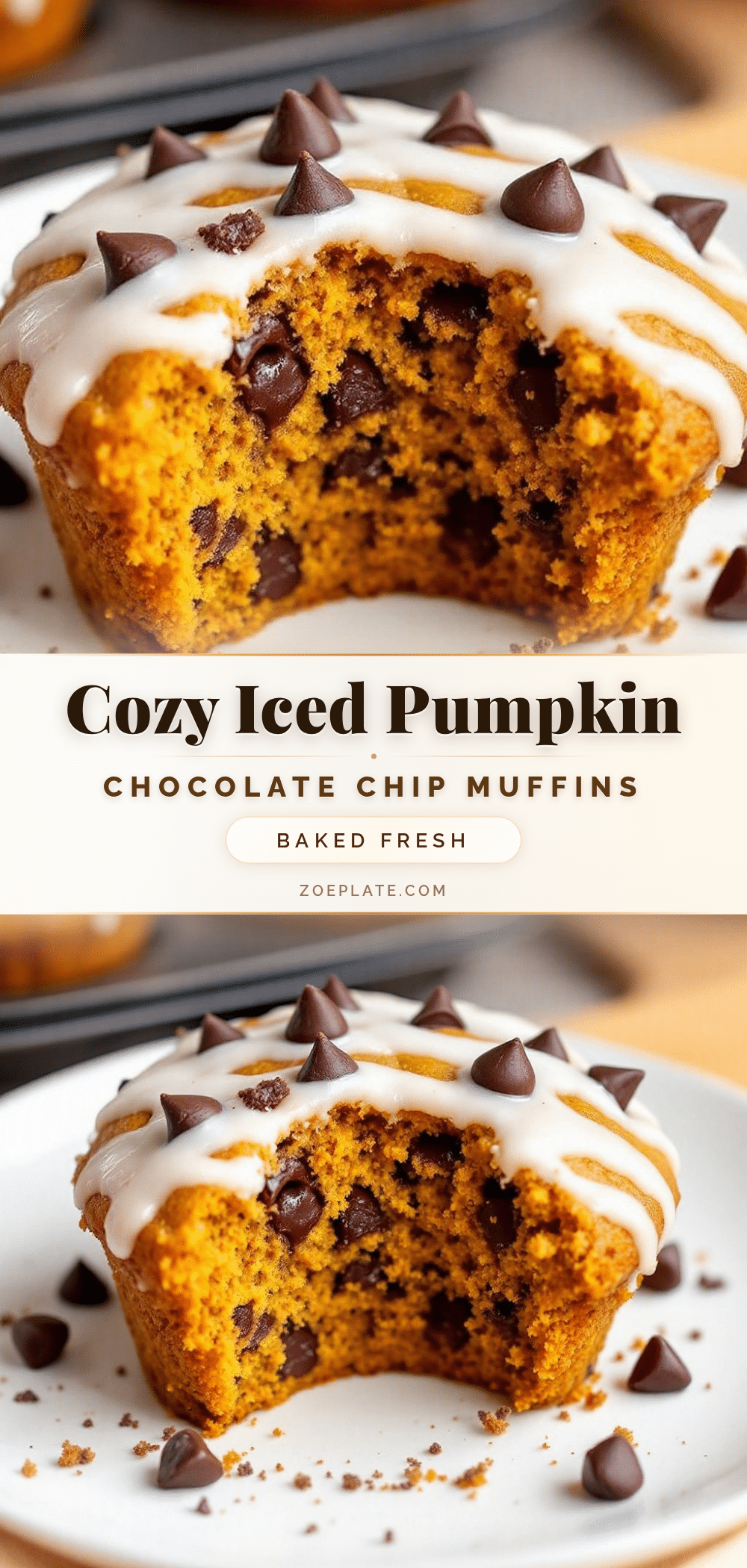 iced pumpkin chocolate chip muffins recipe
