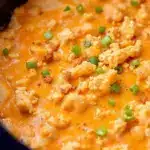 slow cooker buffalo chicken dip - featured image